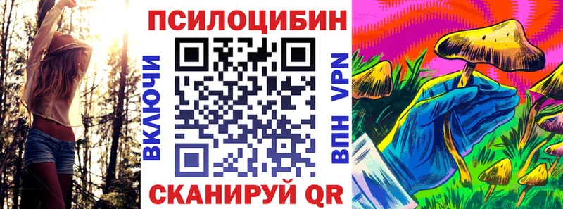 Купить где  Оса  Псилоцибиновые грибы Psilocybe 